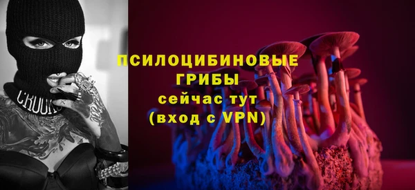 ГАЛЛЮЦИНОГЕННЫЕ ГРИБЫ Аркадак