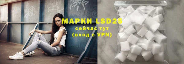 ГАЛЛЮЦИНОГЕННЫЕ ГРИБЫ Аркадак