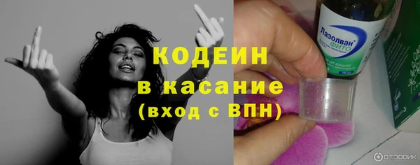 ГАЛЛЮЦИНОГЕННЫЕ ГРИБЫ Аркадак